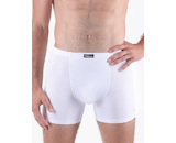GINA pánské boxerky delší nohavička, šité, s potiskem Eco Bamboo 74163P - bílá olivová 58/60