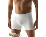 GINA pánské boxerky delší nohavička, bezešvé, jednobarevné Eco Bamboo 54005P  - bílá  S/M