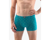 GINA pánské boxerky kratší nohavička, šité, s potiskem  73118P  - šalvěj olivín 50/52