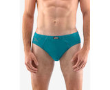 GINA pánské slipy s úzkým bokem, úzký bok, šité, s potiskem 70066P - šalvěj lahvová 46/48