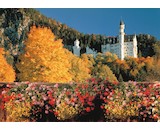 Puzzle Neuschwanstein