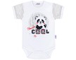 Kojenecké body s krátkým rukávem New Baby Panda - šedá