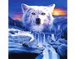 Puzle Vlk v přírodě