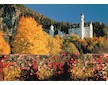 Puzzle Neuschwanstein