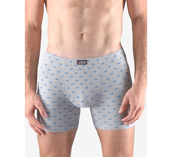 GINA pánské boxerky delší nohavička, šité, s potiskem 74146P - sv. šedá šalvěj 50/52