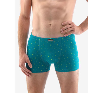 GINA pánské boxerky kratší nohavička, šité, s potiskem 73118P - šalvěj olivín 58/60