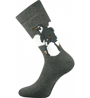 Pánské, dámské froté ponožky Bedřich (Bo609)