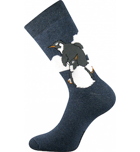 Pánské, dámské dámské froté ponožky Bedřich (Bo609)