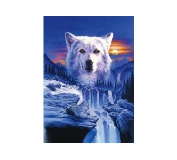 Puzle Vlk v přírodě