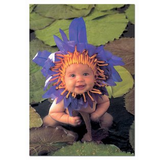 Puzzle Waterlily - Leknín